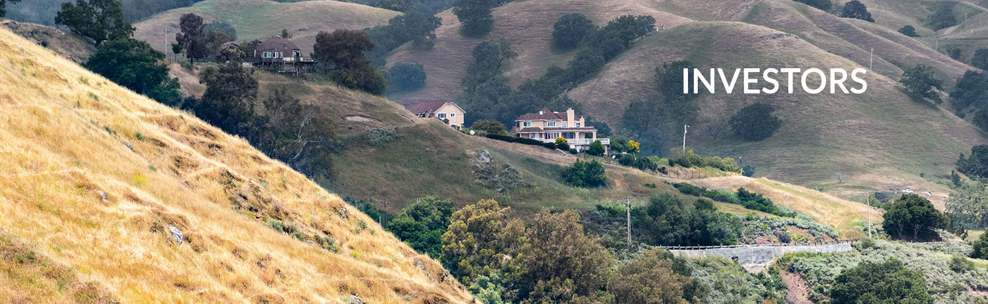 INVESTORSJigsaw Investment Partners, INC